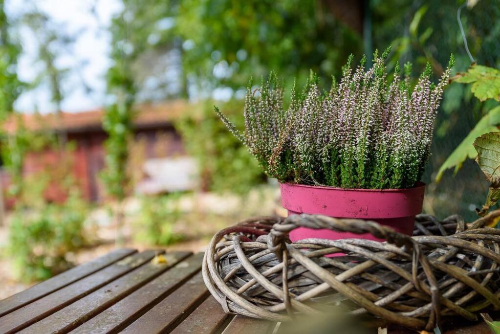 פוטן Spacious Wooden Cottage With Infra-Red Sauna At Veluwe מראה חיצוני תמונה